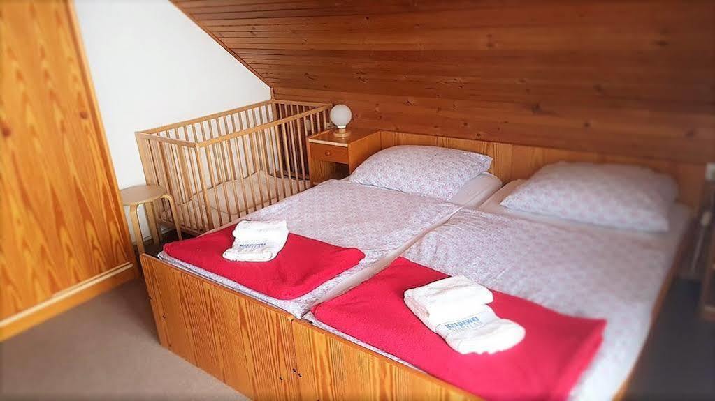 Penzion Vila Bistrica Bohinjska Bistrica Dış mekan fotoğraf